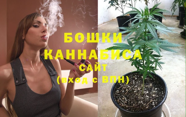 спайс Горняк