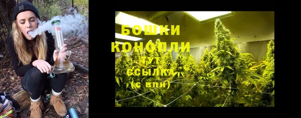 спайс Горняк