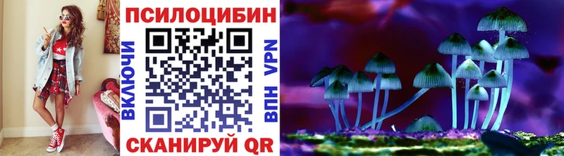 Купить где  Покровск  Галлюциногенные грибы Cubensis 